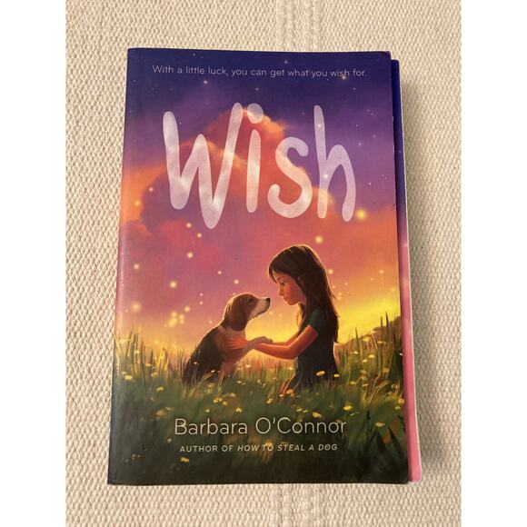 Wish by: Barbara O'Connor  ISBN: 9781250144058 book - Picture 1 of 8